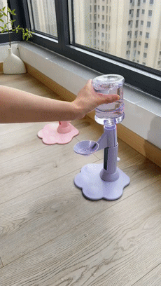 Setting up the spill-proof gravity cat water dispenser